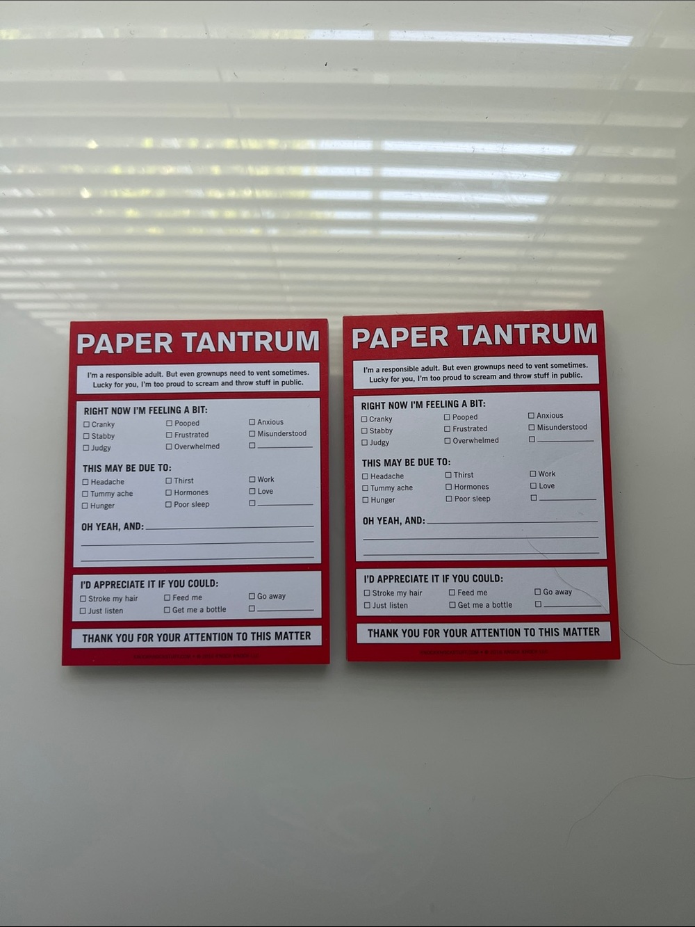 Knock Knock Paper Tantrum Nifty Note Set of 2